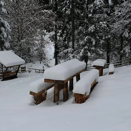 Hotell Petrivska Sloboda Mizhhirya (Transcarpathia)