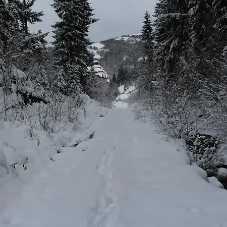 Petrivska Sloboda 3*